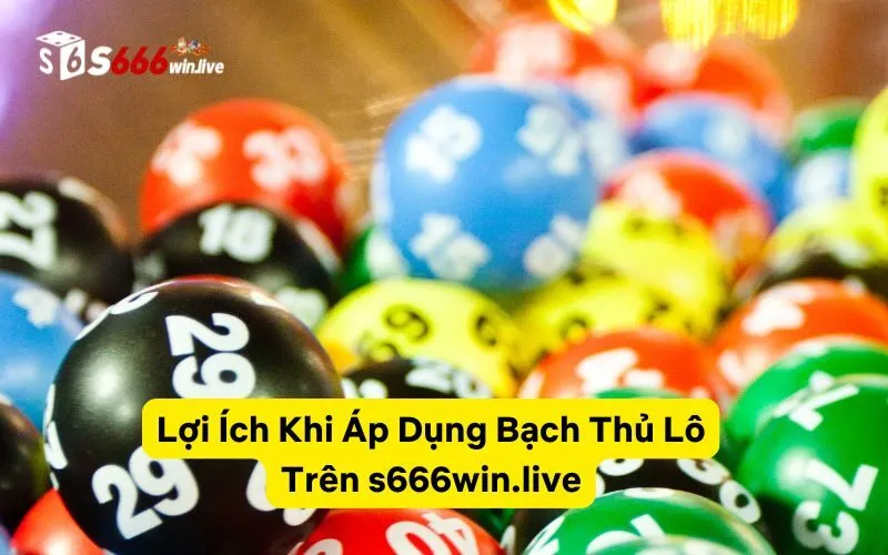 Lợi Ích Khi Áp Dụng Bạch Thủ Lô Trên eactural.uk.net