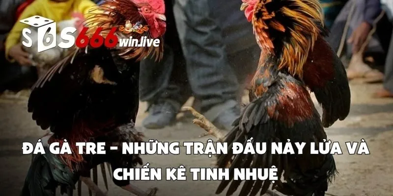 Đá Gà Tre